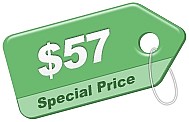 Price Tag - Green