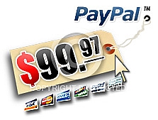 PayPal Price Tag