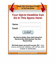 Simple Opt-in Box