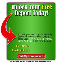Opt-in Box Free Report