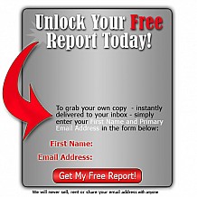 Opt-in Box Free Report
