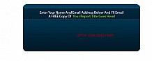 Opt-In Box - Free Report